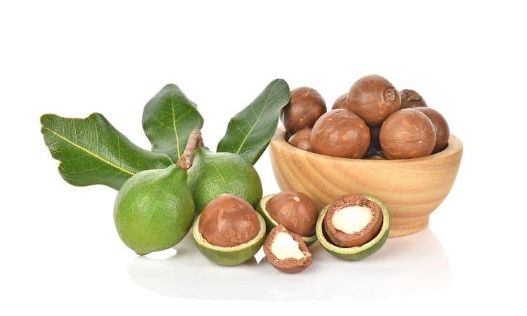 Hạt Mắc Ca