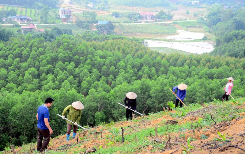 Tăng gấp đôi mức hỗ trợ kinh phí để phát triển sinh kế, cải thiện đời sống người dân vùng đệm của các khu rừng đặc dụng