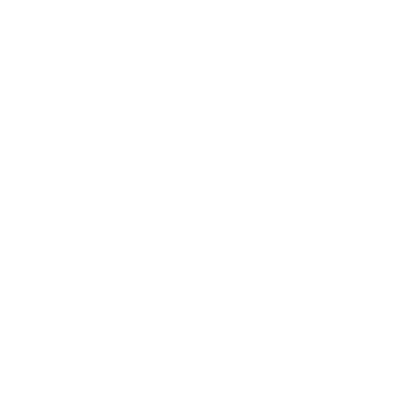 VGF HOLDINGS