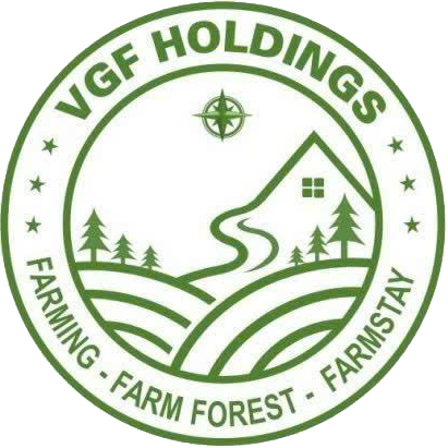 VGF Holdings